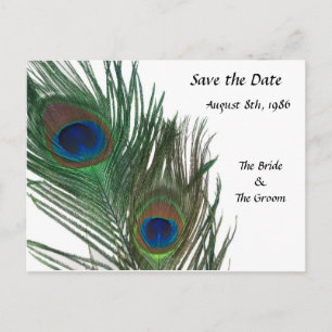 Love White Peacock Save the Date Ankündigungspostkarte