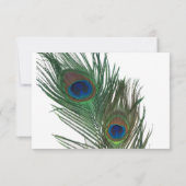Love White Peacock Wedding RSVP (Rückseite)