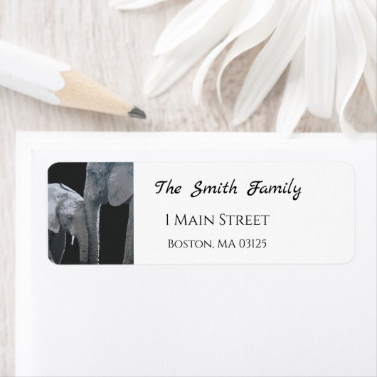 Love You More, Elephant Original Art Address (Insitu)