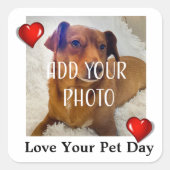 Love Your Pet Day Quadratischer Aufkleber (Vorderseite)