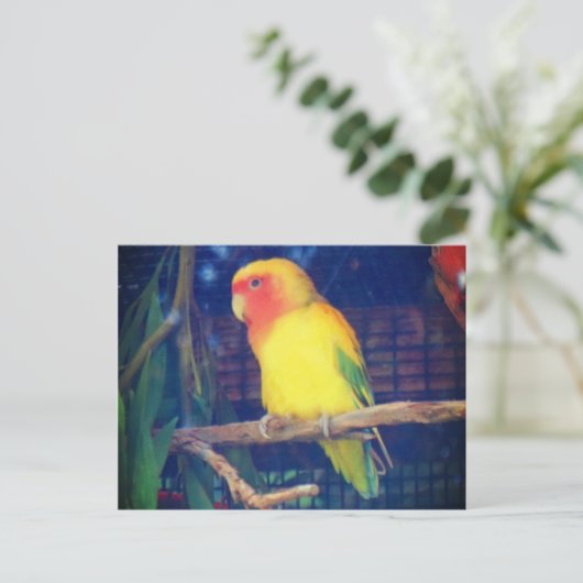 Lovebird #1 postkarte (Stehend Vorderseite)