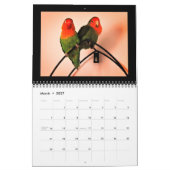 Lovebird Adventures Kalender (Mär 2027)