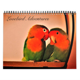Lovebird Adventures Kalender