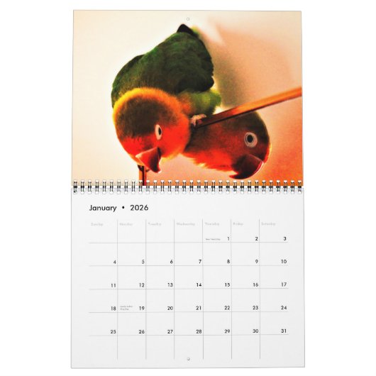 Lovebird Adventures Kalender (Jan 2026)