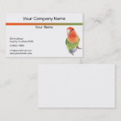 Lovebird auf weißem Hintergrund Visitenkarte (Vorne/Hinten)