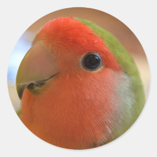 Lovebird Aufkleber