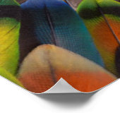 Lovebird feather kaleidoscope poster (Ecke)