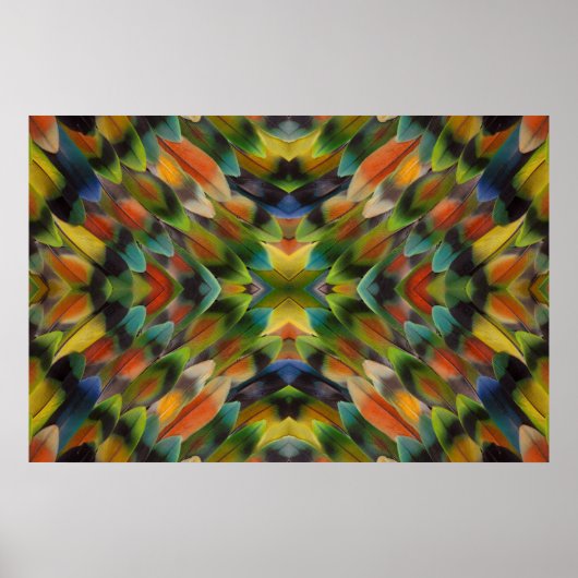 Lovebird feather kaleidoscope poster (Vorne)
