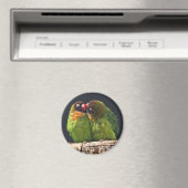 Lovebird Kiss Magner Magnet (In Situ (Geschirrspüler))