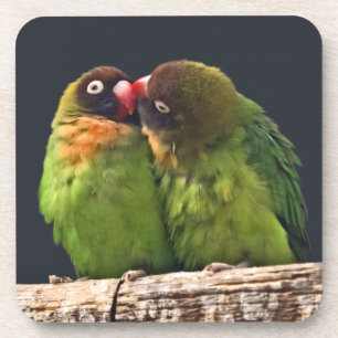Lovebird Kiss Set von 6 Untersetzer