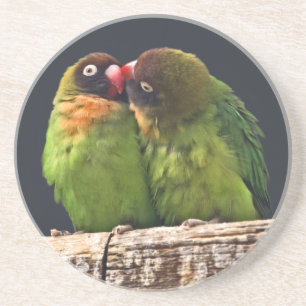 Lovebird-Kiss-Unterlage Sandstein Untersetzer