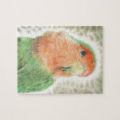 Lovebird-Pilaf Puzzle (Horizontal)