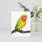 Lovebird Postcard Postkarte (Stehend Vorderseite)