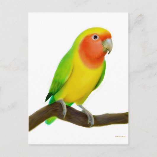 Lovebird Postcard Postkarte (Vorderseite)