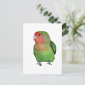 Lovebird Postkarte (Stehend Vorderseite)