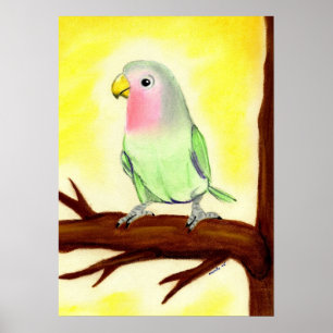 Lovebird-Vogel-Porträt Poster