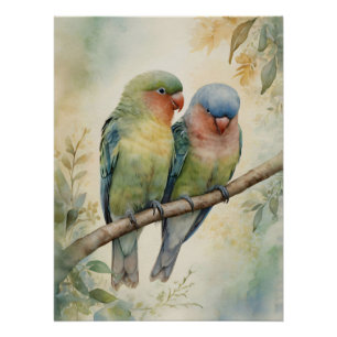 Lovebirds Eukalyptus Tree Poster