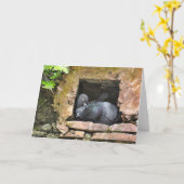 Lovebirds Forever Blank Inside Grußkarte Karte (Gelbe Blume)