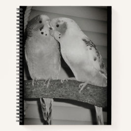 Lovebirds Notizblock