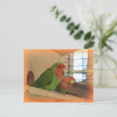 Lovebirds Postcard Postkarte (Stehend Vorderseite)