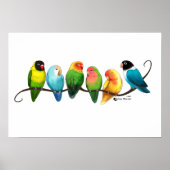 Lovebirds Poster (Vorne)