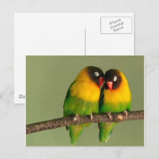 Lovebirds Postkarte (Vorne/Hinten)