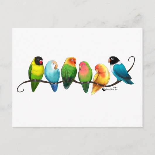 Lovebirds Postkarte (Vorderseite)