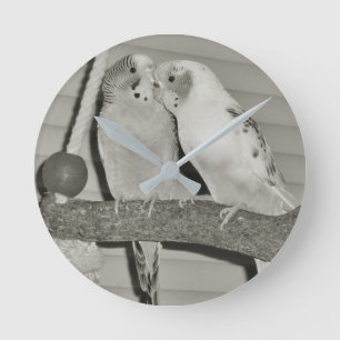 Lovebirds Runde Wanduhr