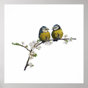Lovebirds sitzen auf einem Kirschblütenzweig weiß Poster