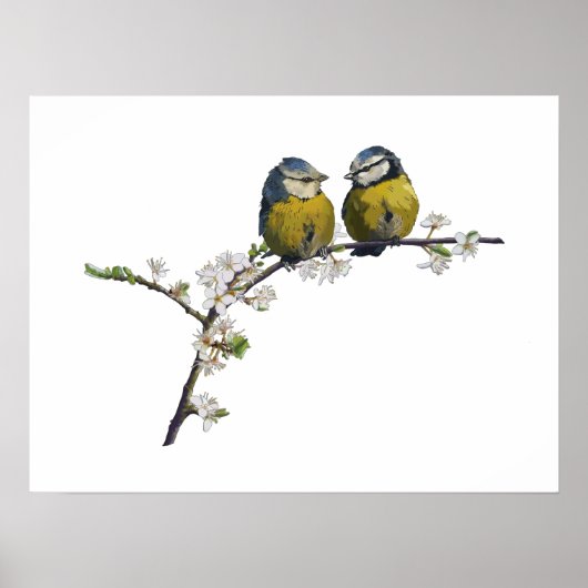 Lovebirds sitzen auf einem Kirschblütenzweig weiß Poster (Vorne)