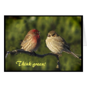 Lovebirds-Tag der Erde