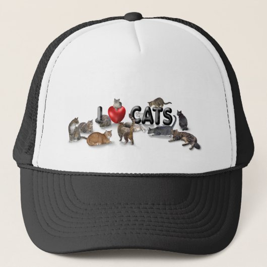 lovecats8,31x3bev truckerkappe (Vorderseite)