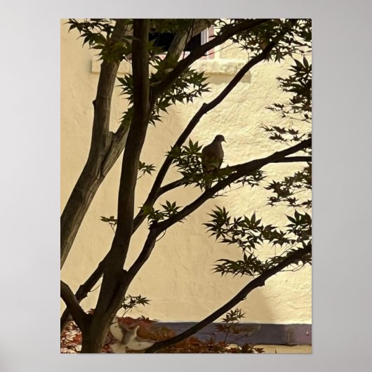 Lovedove-Silhouette Poster (Vorne)