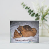 loveis, I'm missing those naps... Postkarte (Stehend Vorderseite)