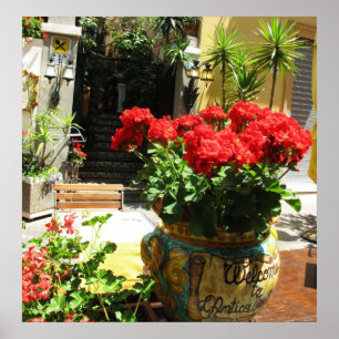 LOVELL ROTE BLUME IN KERAMIK POT POSTER