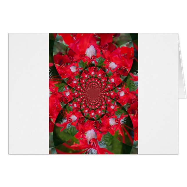 Lovely Alien Crimson (Vorderseite (Horizontal))