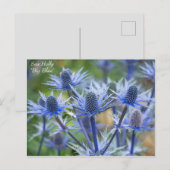 Lovely Blue Sea Holly Floral Postcard Postkarte (Vorne/Hinten)