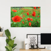 LOVELY BLUME POSTER RED POPPIES (Heimbüro)