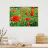 LOVELY BLUME POSTER RED POPPIES (Küche)