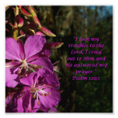 Lovely Blume Scripture Psalm 120:1 Foto Print (Vorne)
