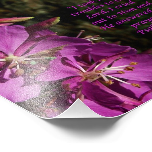 Lovely Blume Scripture Psalm 120:1 Foto Print (Ecke)
