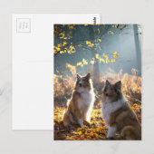 Lovely Collie Dog Postkarte (Vorne/Hinten)