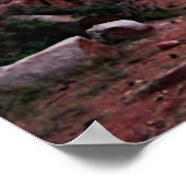 Lovely Colorado Mountain Trail Poster (Ecke)