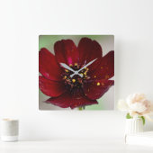 Lovely Coloured Chocolate Cosmos Flower Quadratische Wanduhr (Zuhause)