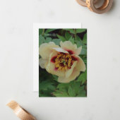 Lovely Cream Yellow Peony Mitteilungskarte (Vorderseite/Rückseite Beispiel)