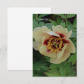 Lovely Cream Yellow Peony Mitteilungskarte (Vorne/Hinten)