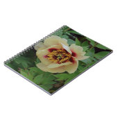 Lovely Cream Yellow Peony Notizblock (Linke Seite)
