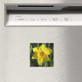 Lovely Daffodil Magnet (In Situ (Geschirrspüler))