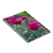 Lovely Deep Pink Garden Peongs Notizblock (Rechte Seite)