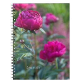 Lovely Deep Pink Garden Peongs Notizblock